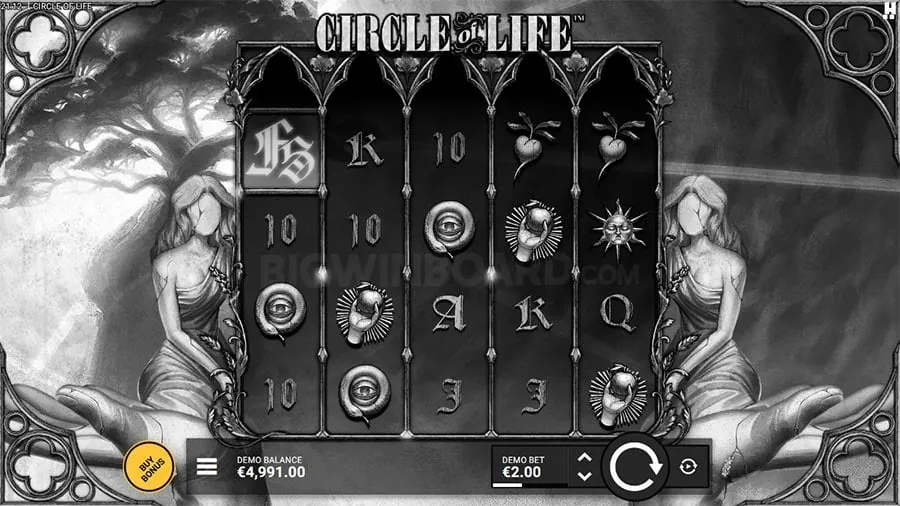 Live Roulette Wheel